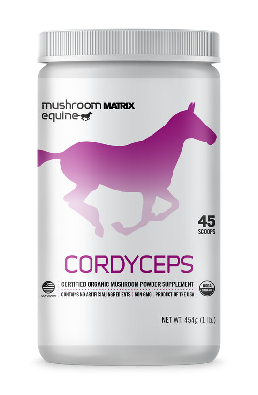 Cordyceps Mushroom Supplement for Horses