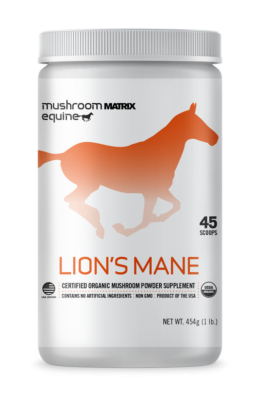Lion's Mane Mushroom Supplement for Horses