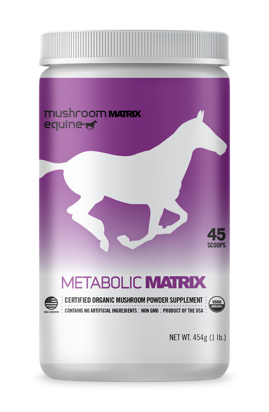 Metabolic Matrix Mushroom Supplement