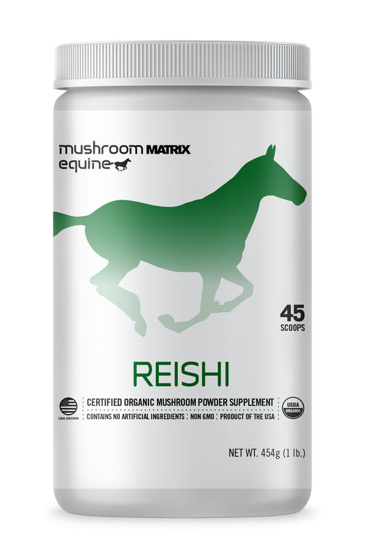 Reishi Mushroom Supplement for Horses