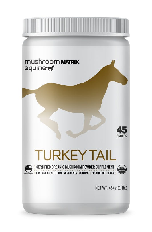 Turkey Tail Mushroom Supplement for Horses