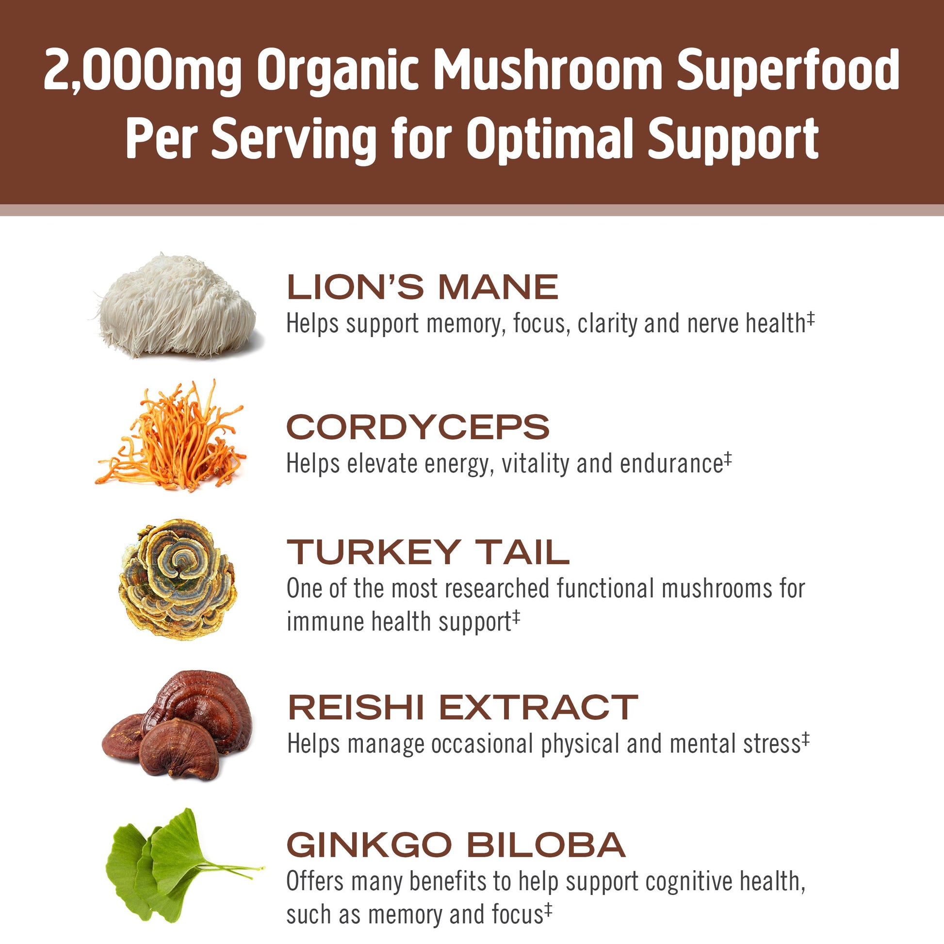 Om Coffee Blend Organic Mushroom Superfood Hot Drink