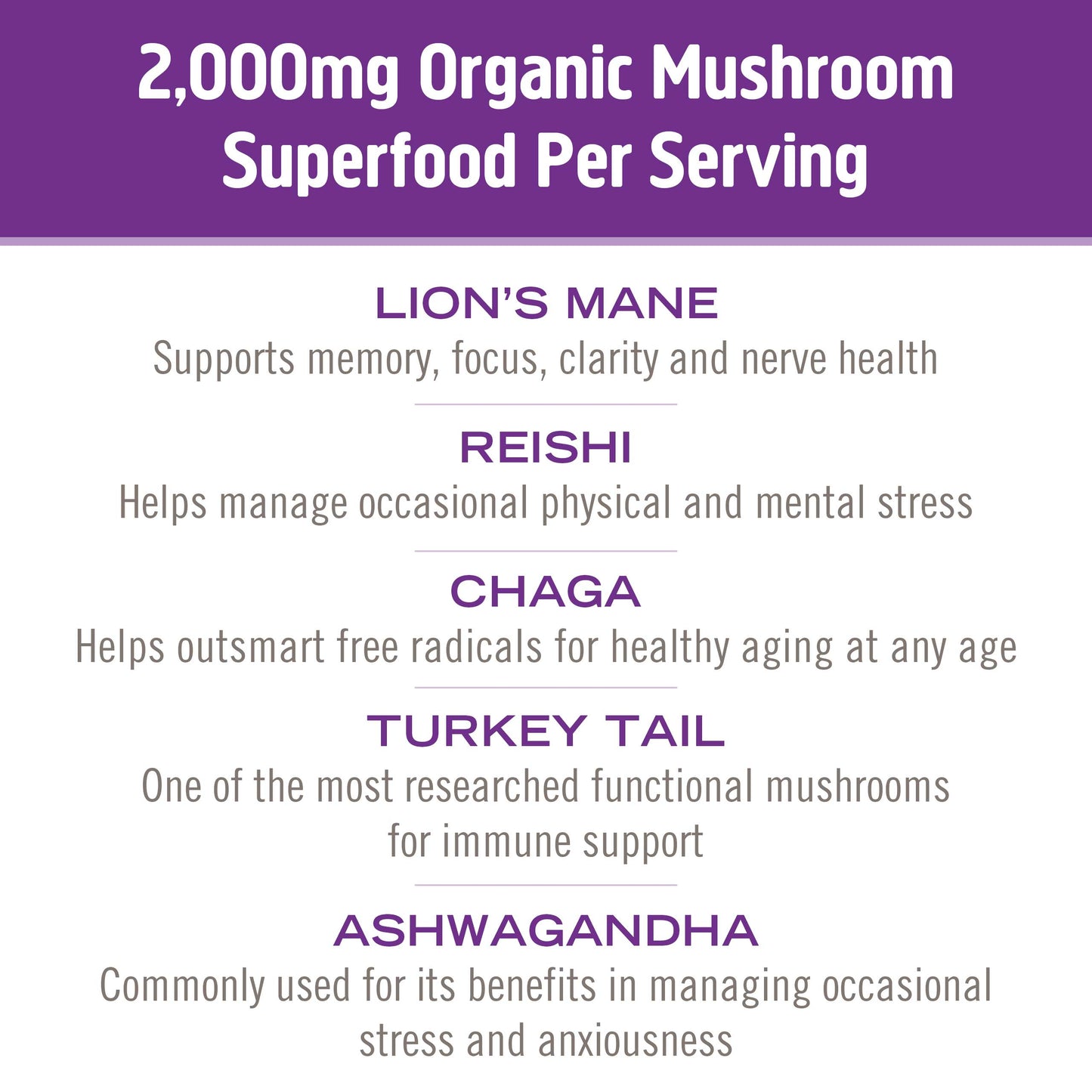 Om Mushroom Hot Chocolate Blend