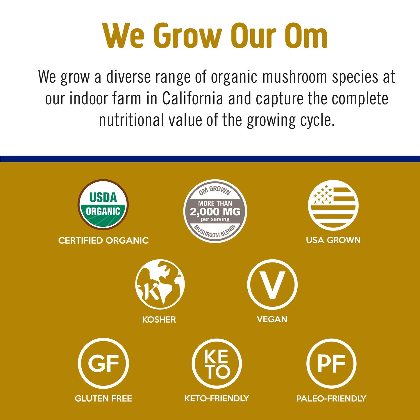 Om Master Blend Plant‑Based Protein