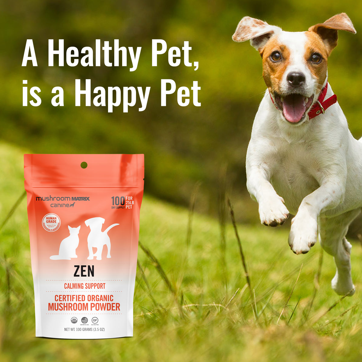 Zen Matrix Zen Matrix Calming Supplement – Mushroom Matrix