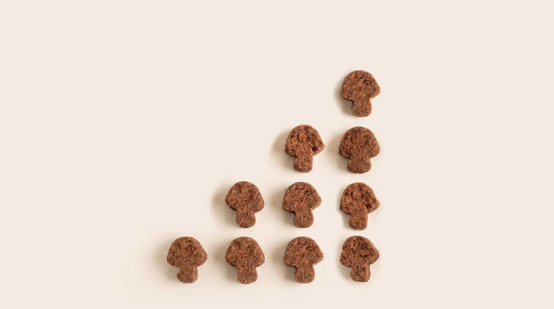 NEW - Ommies Turkey Tail+ Soft Chews for Dogs