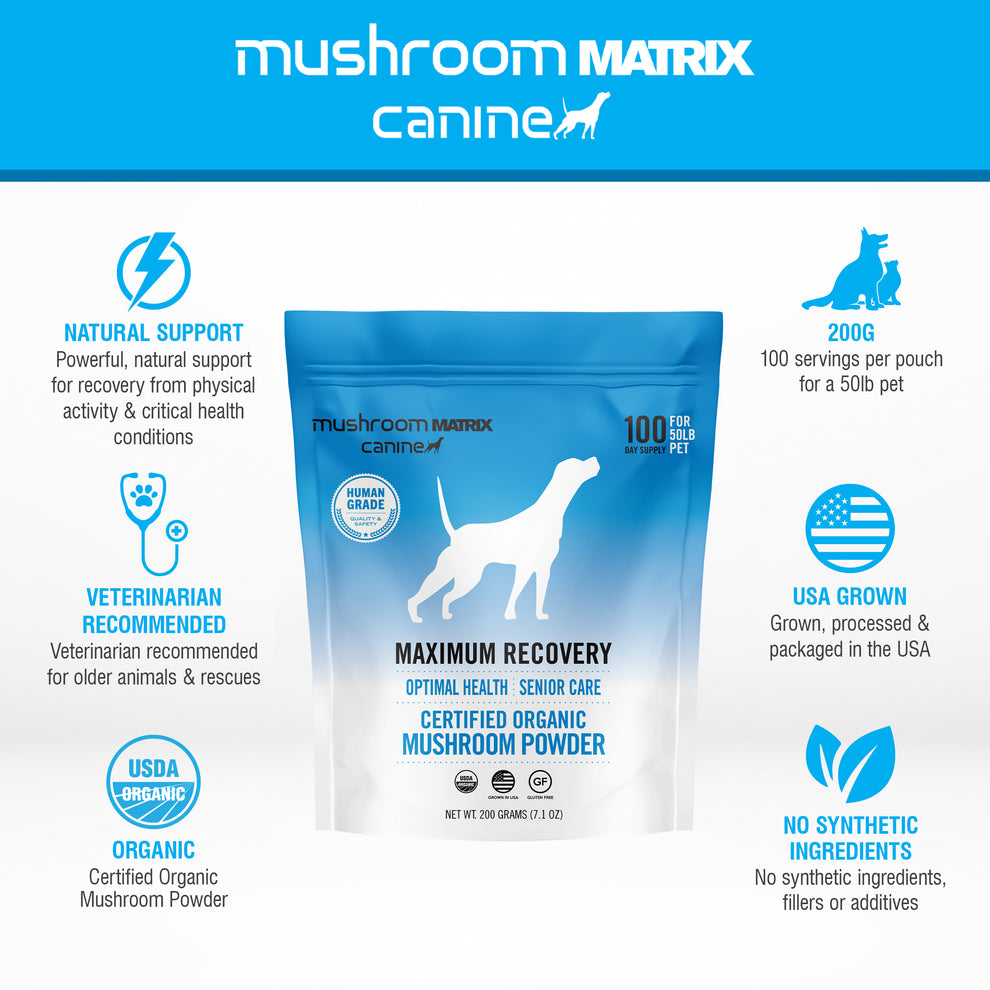 MRM Maximum Recovery Matrix for Pets – Mushroom Matrix