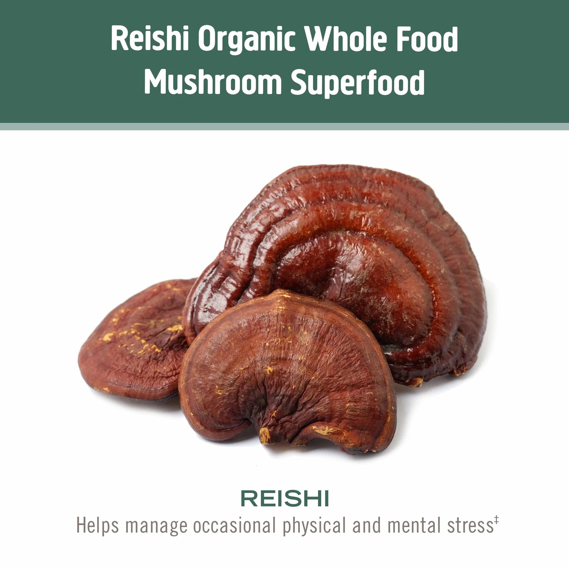 Om Gently Zen Mushroom Superfood Capsules