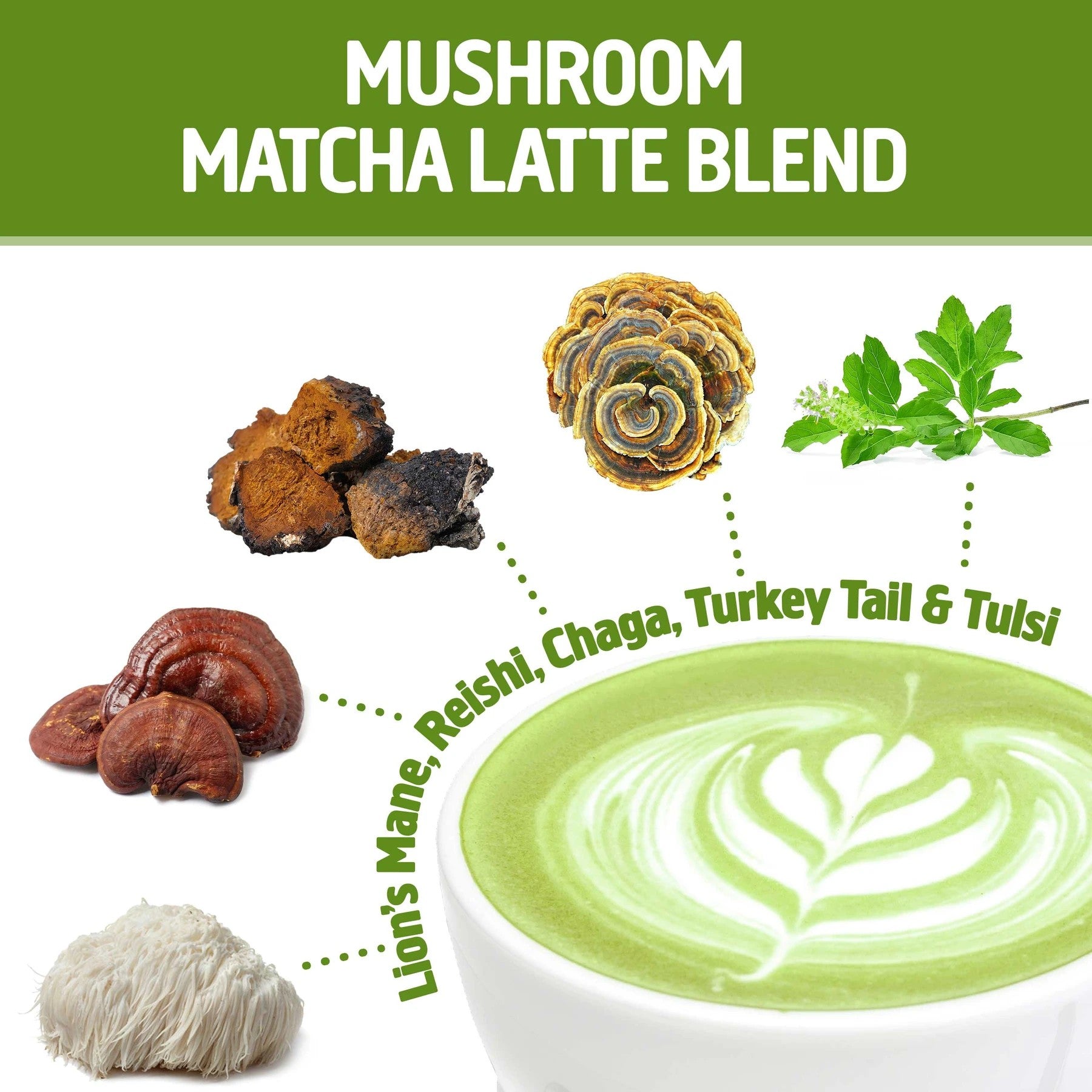 Om Mushroom Matcha Latte Blend